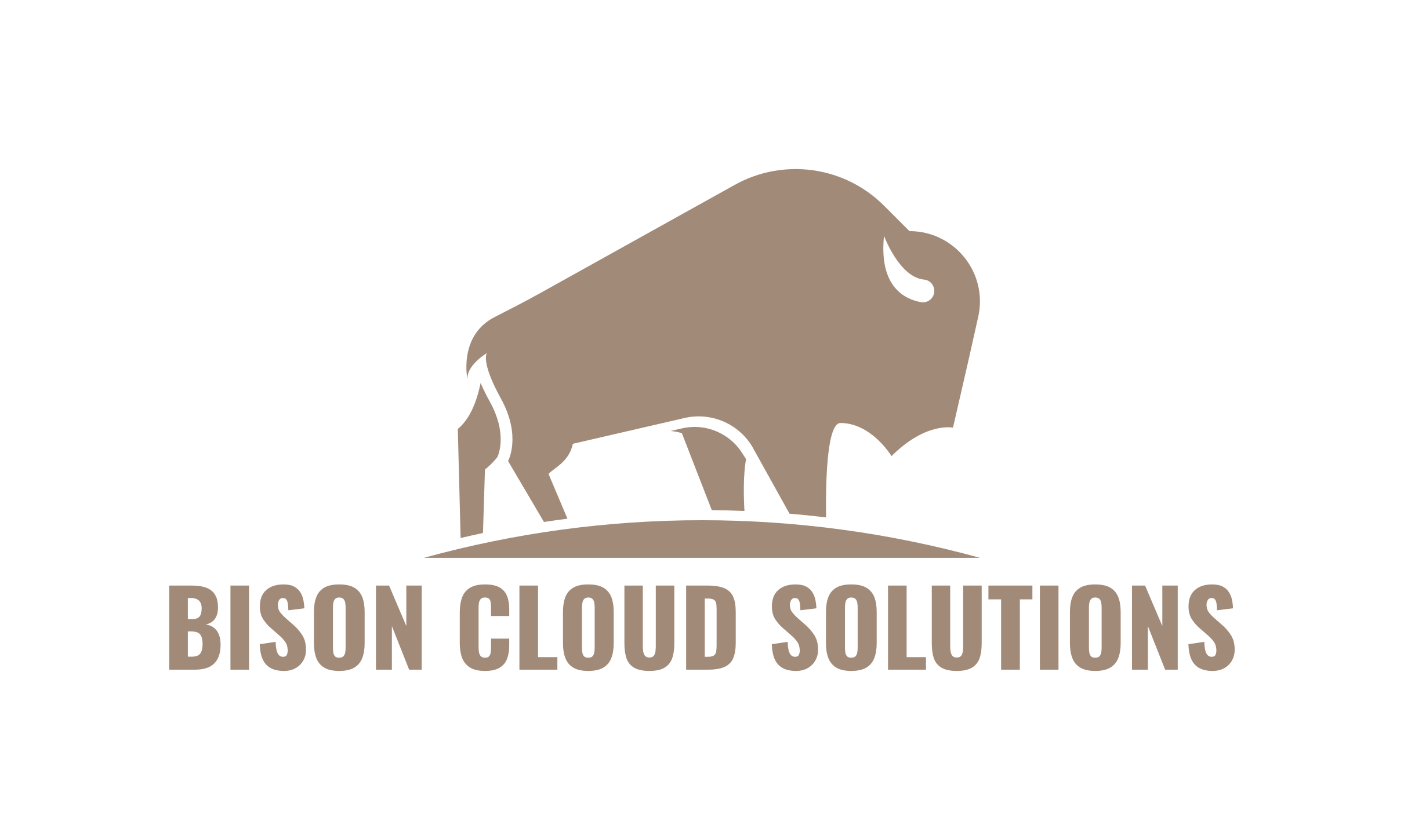 Bison Cloud Solutions